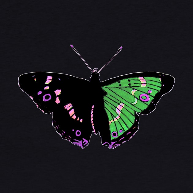 Butterfly 01d, transparent background by kensor